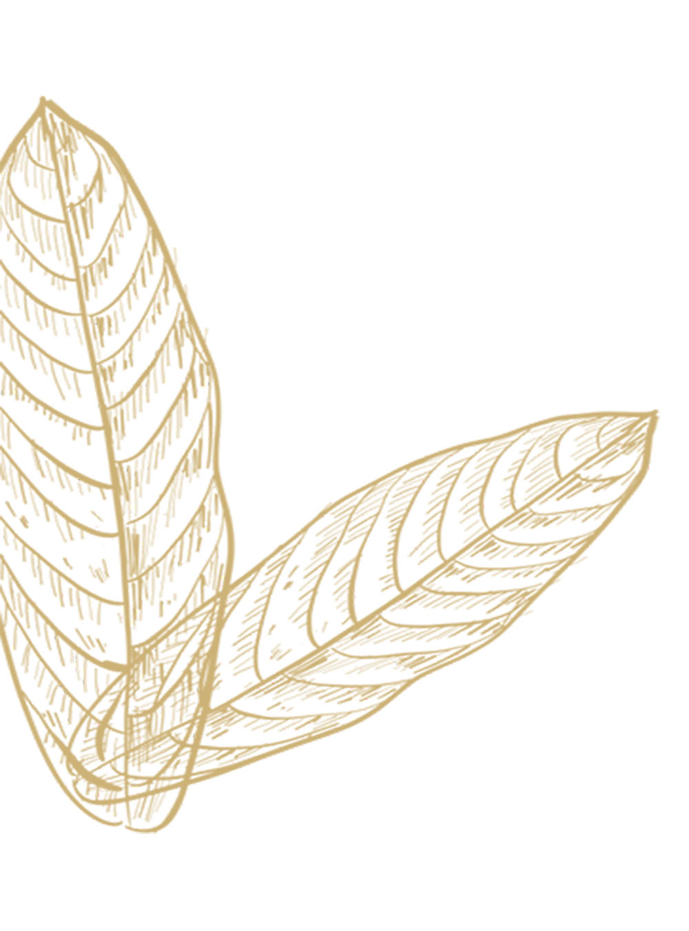 product-placeholder-sanmarco